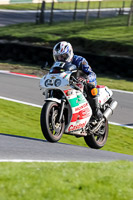 Lower Group White Bikes